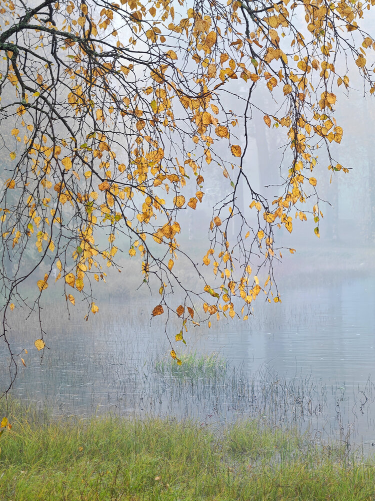 Photograph by OLga Piirainen