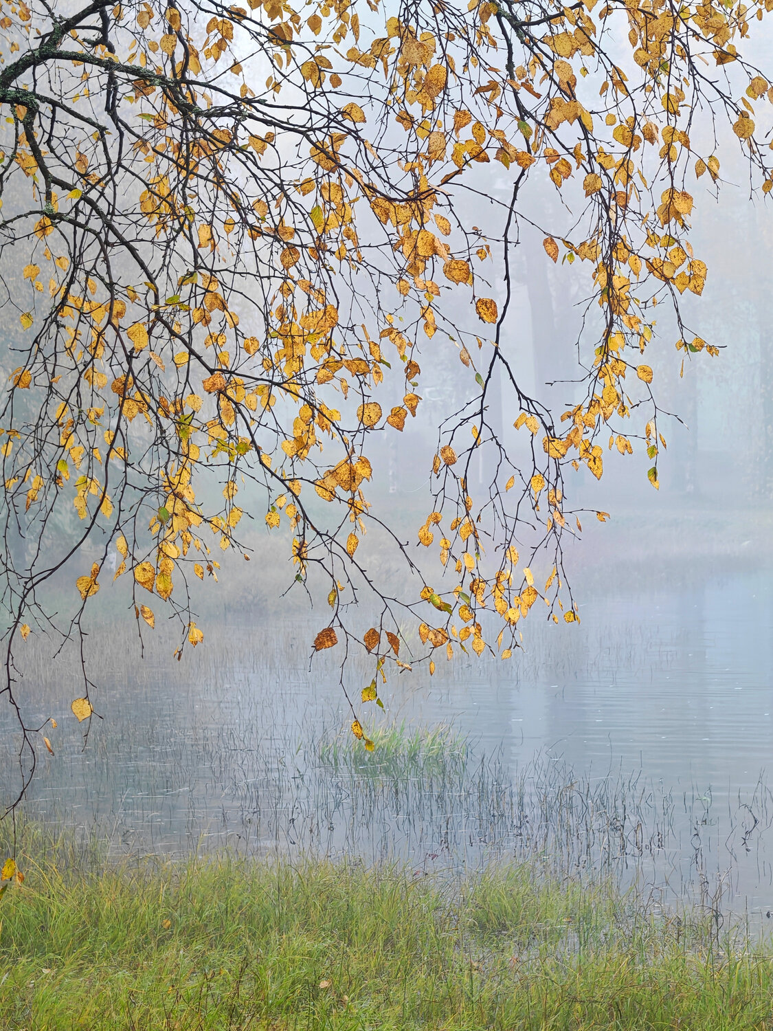 Photo #14120690