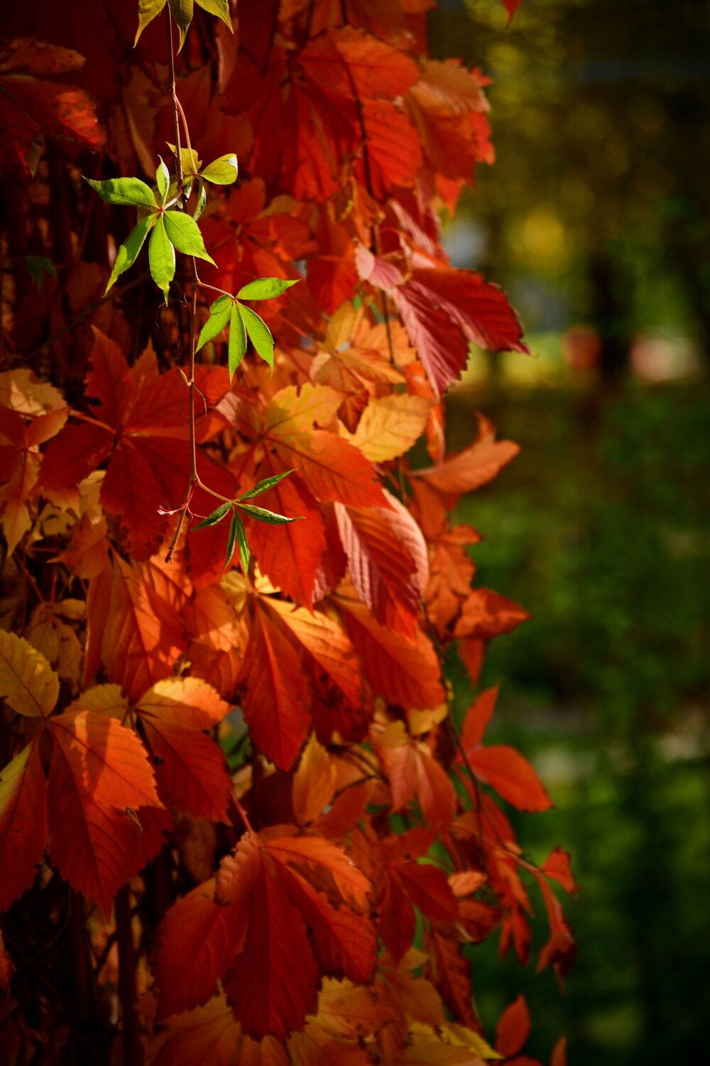 Photo #14120838