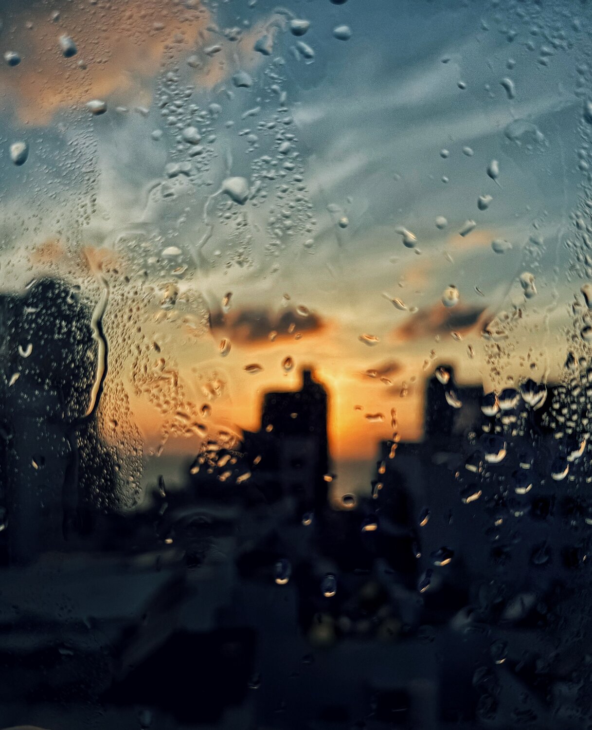 Photo #14120875