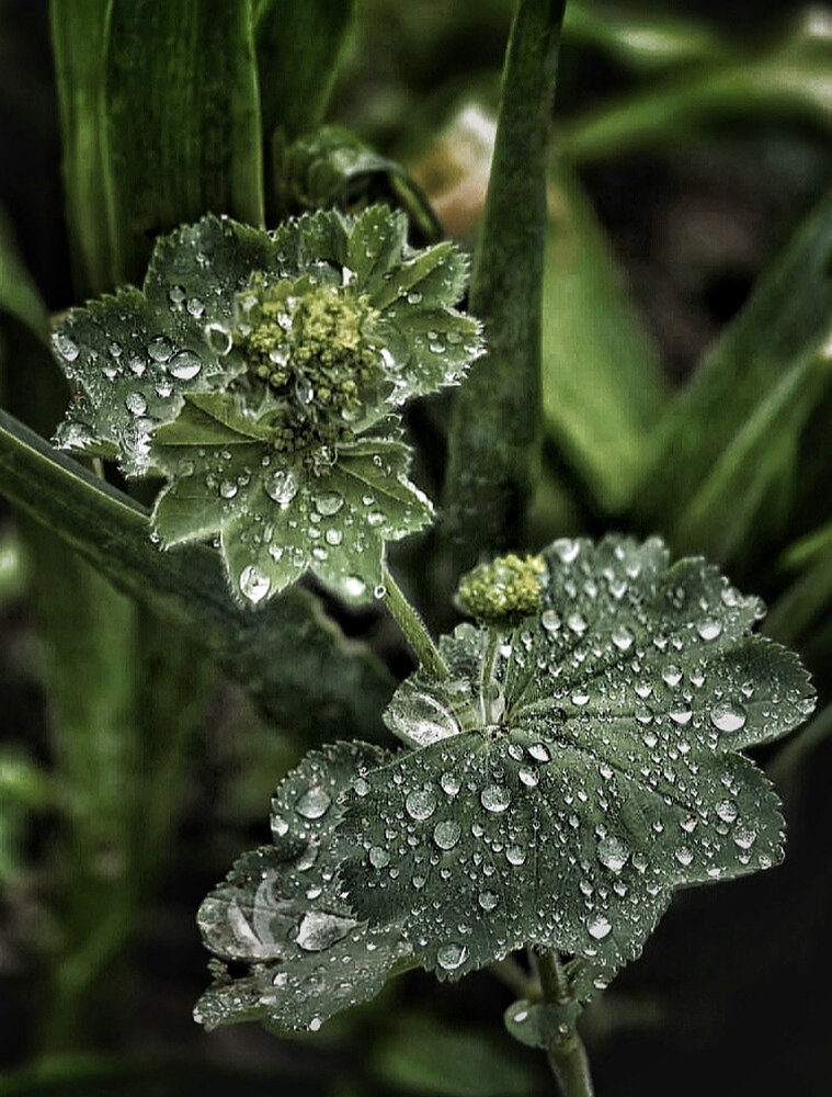 Photograph by Юлия Порфирьева