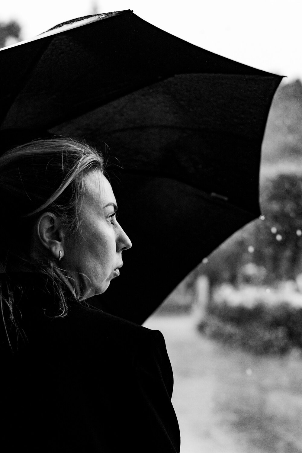 Photo #14120968