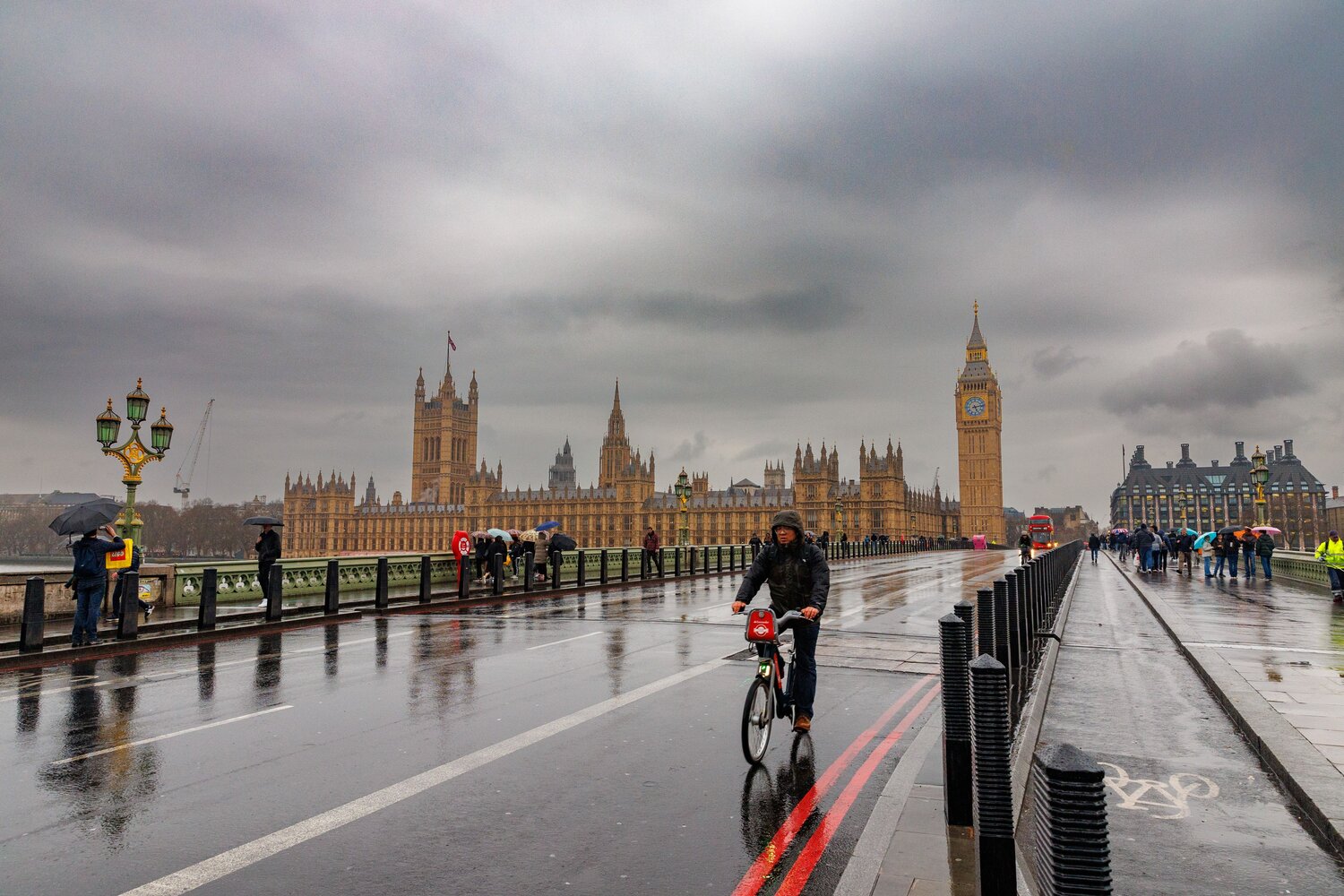 Photo #14121188