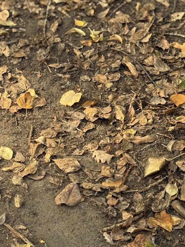 Photograph by Ольга Бородкина