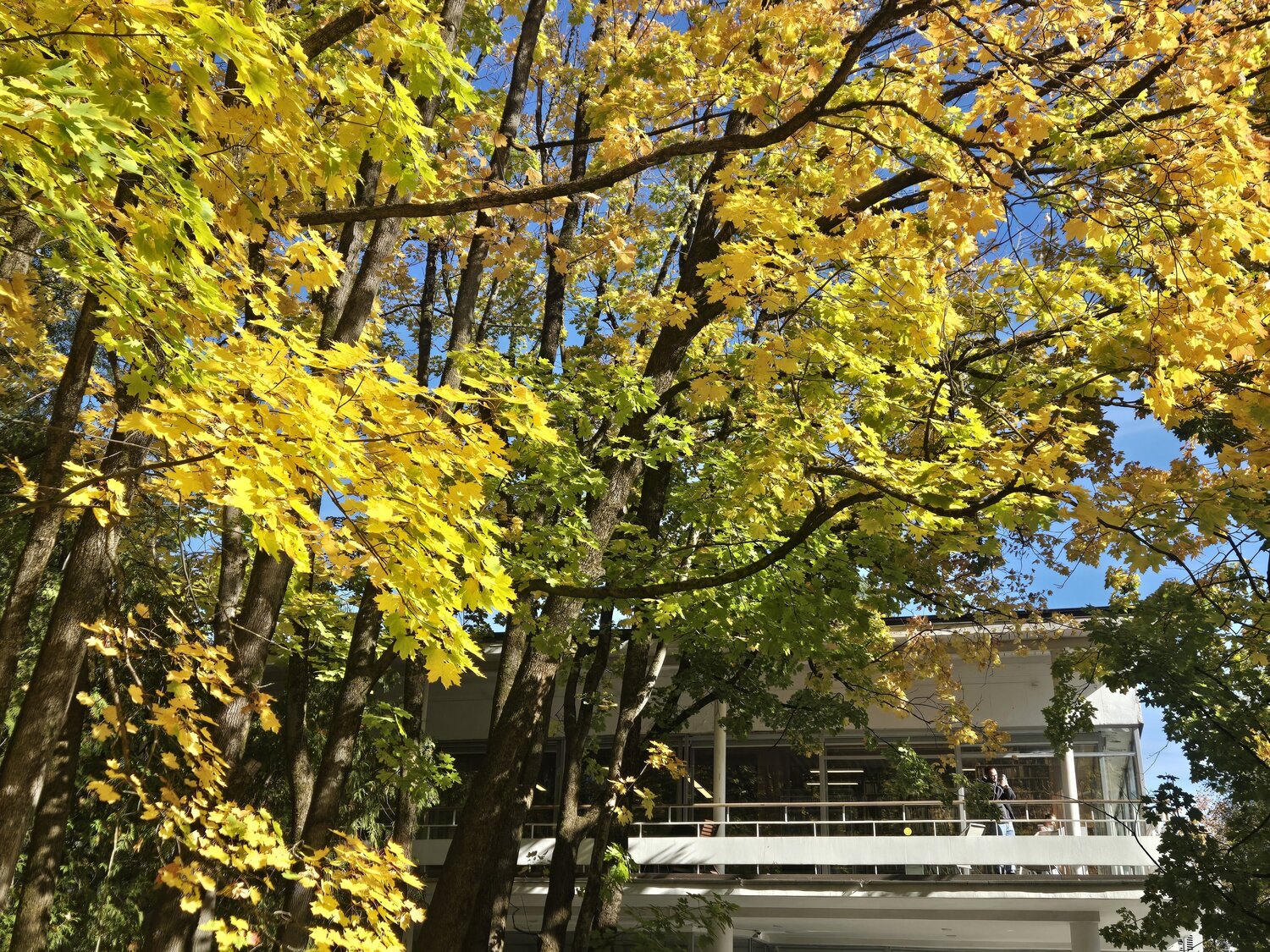 Photo #14121489