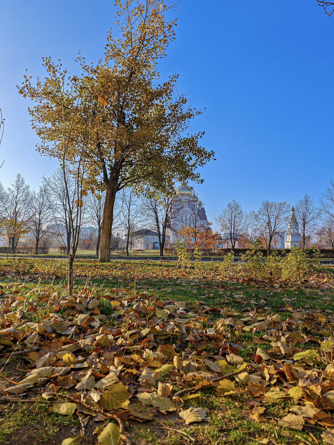 Photo #14121497