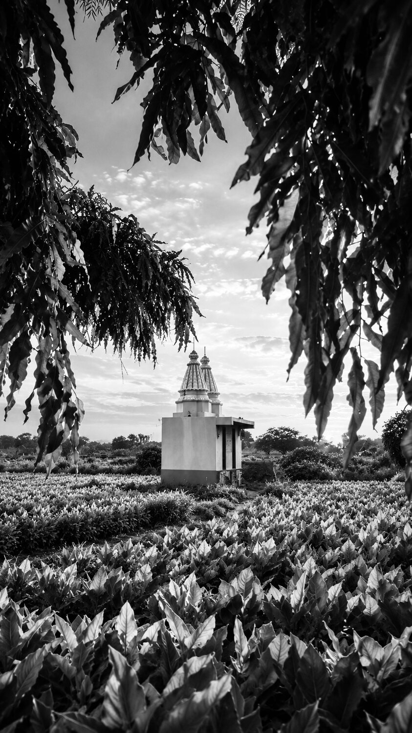 Sanctuary in the fields. Quiet rural heritage framed by nature\\\\\\\'s canopy. Sanctuary in the fields. Quiet rural heritage framed by nature\\\\\\\'s canopy.