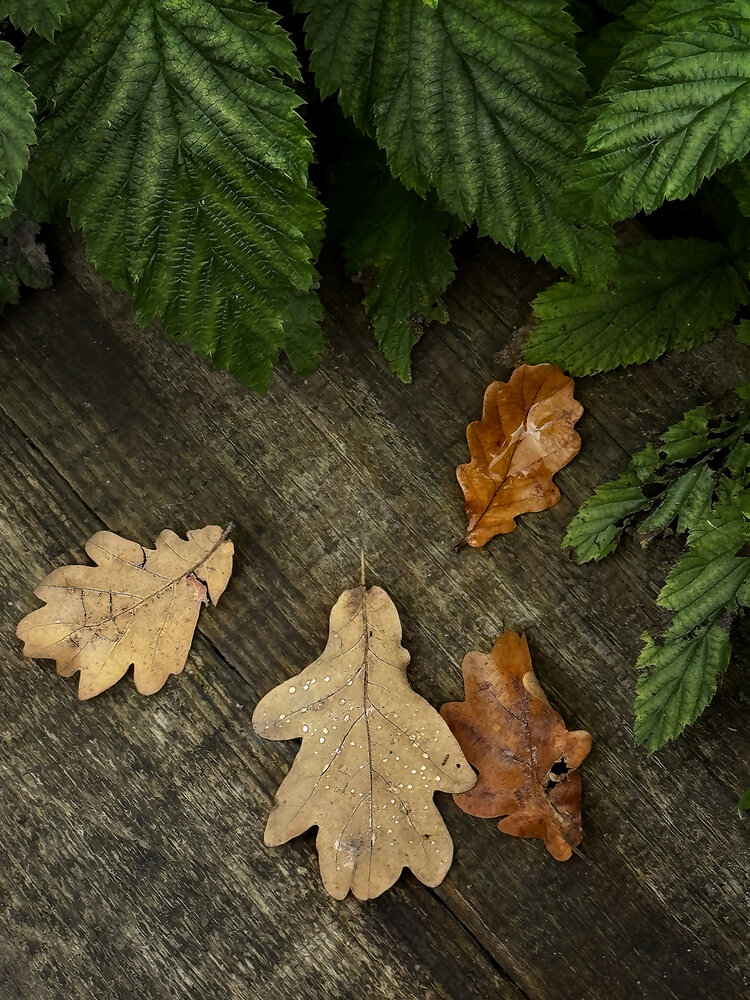 Photograph by Ольга Потачева