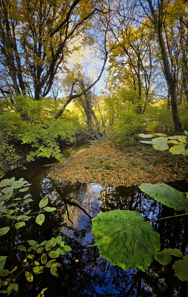 Фотография автора Пирог Борис