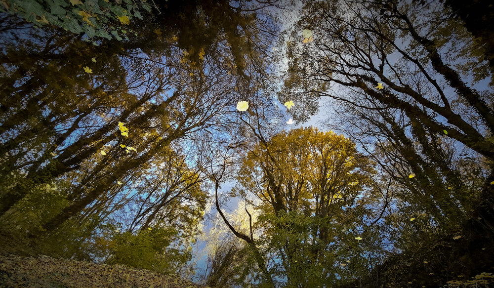 Фотография автора Пирог Борис