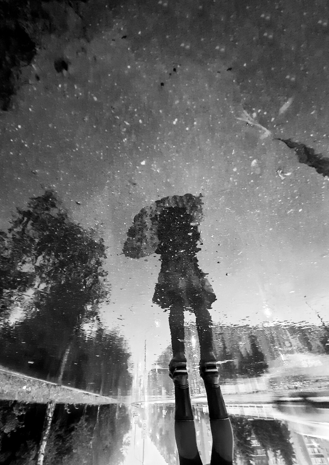 Photo #14121959