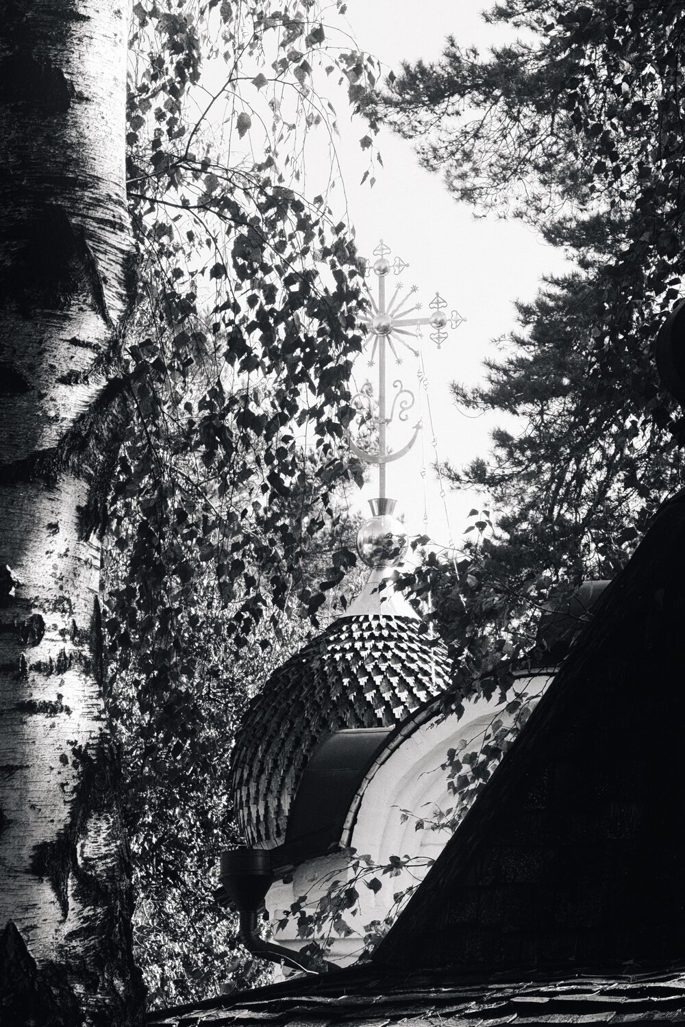 Photo #14122006