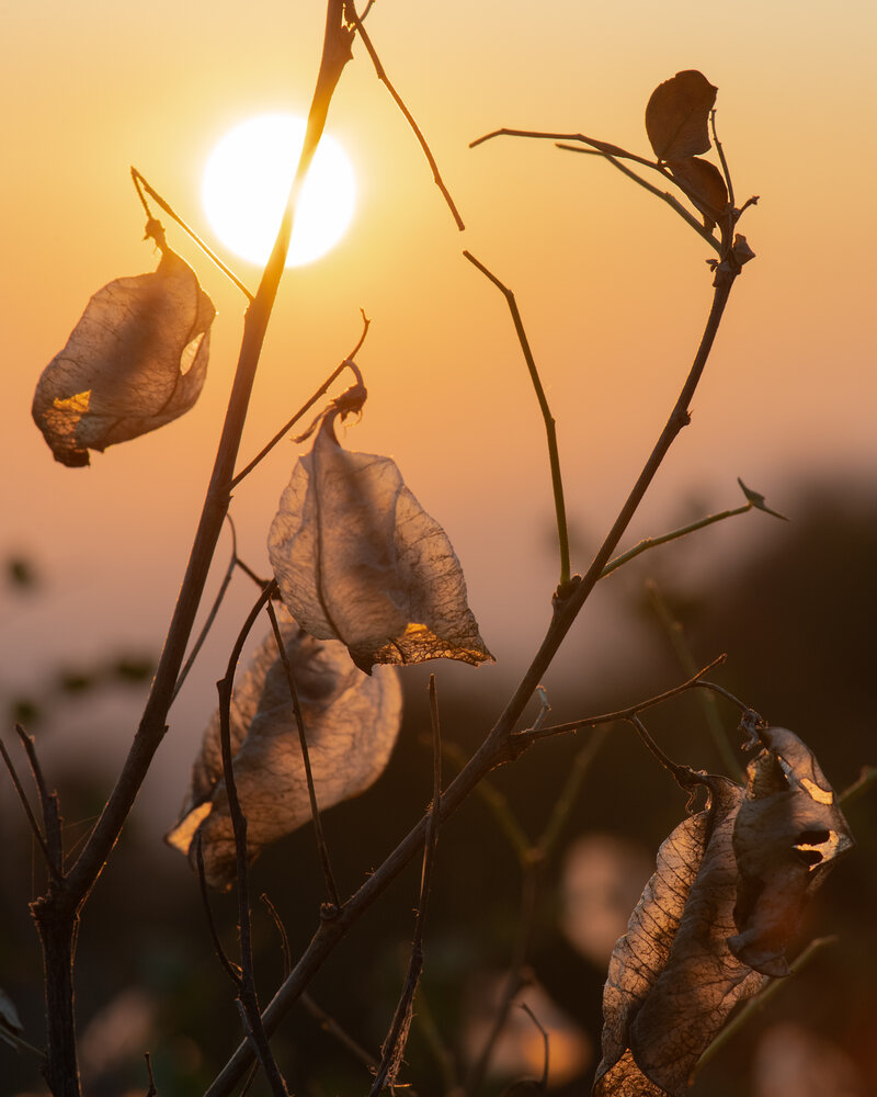 Photograph by Olga Lyubochkina