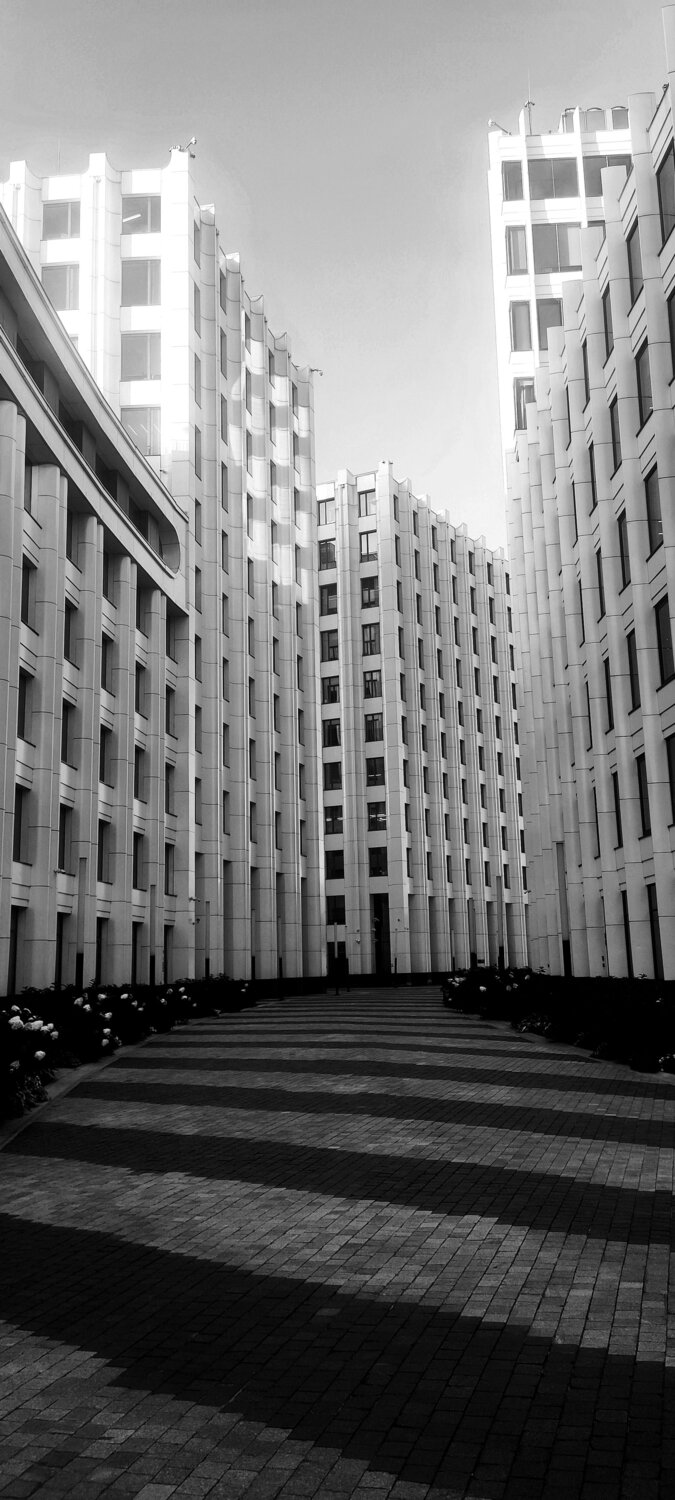 Photo #14122031
