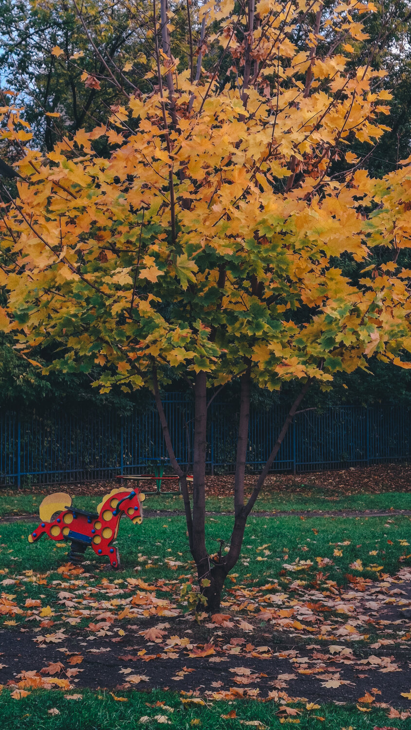 Photo #14122037