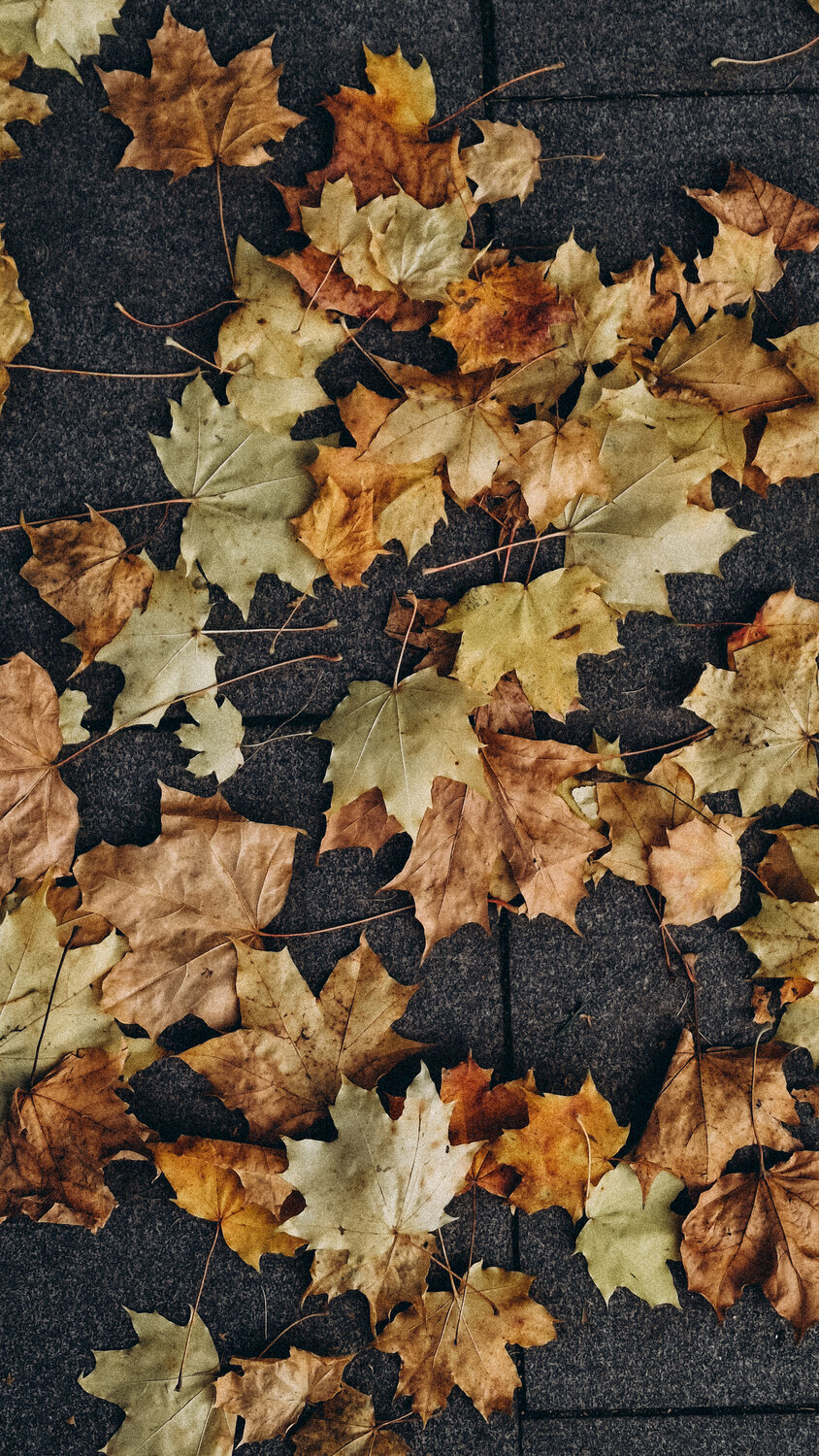 Photo #14122038