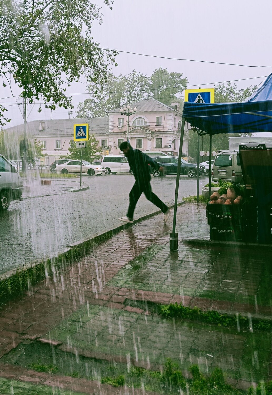 Photo #14122042