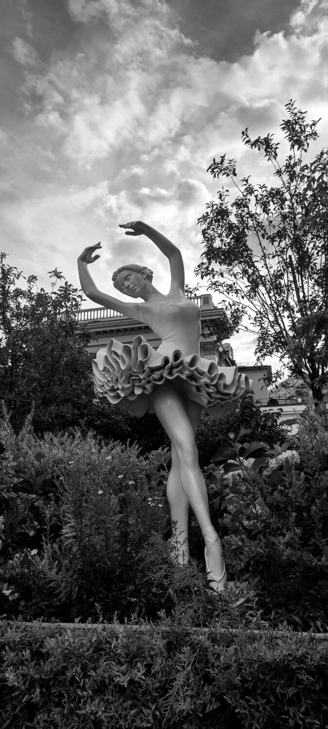 Photo #14122073