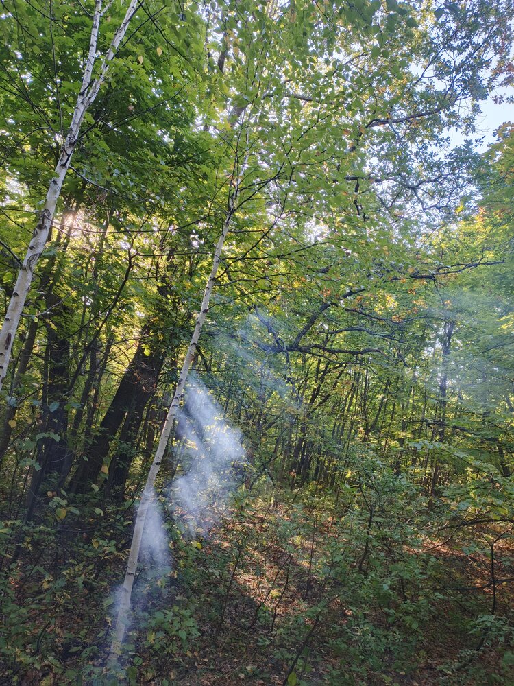 Photograph by Наталия Самойленко