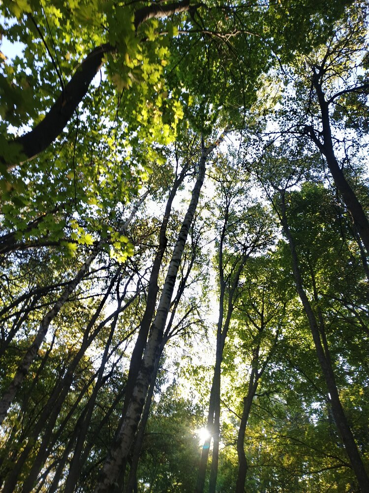 Photograph by Наталия Самойленко