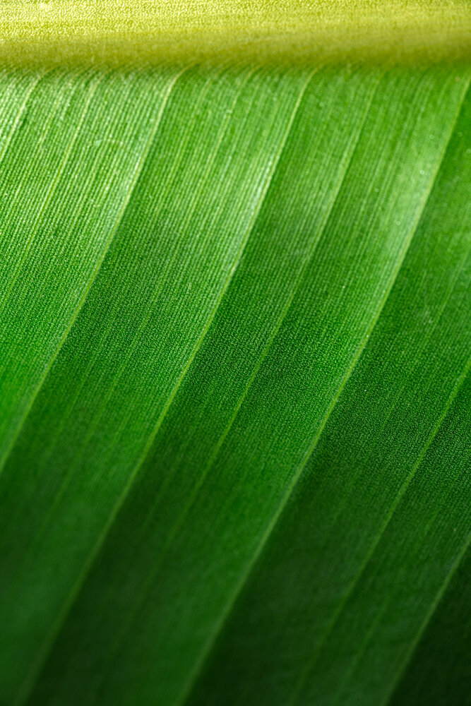 Фотография автора Abel Cancino Gutierrez