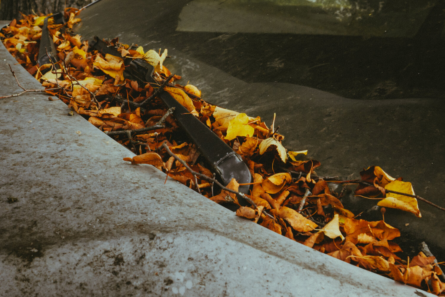 Photo #14122285