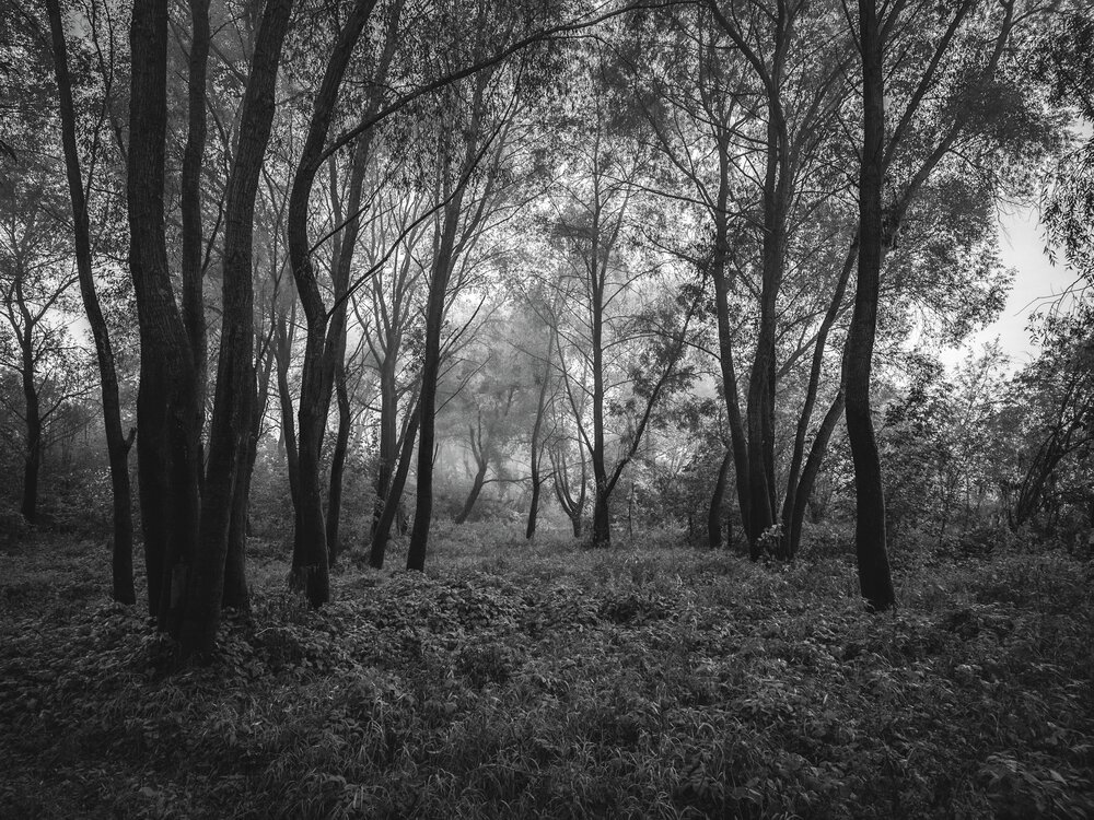 Photograph by Кирилл Сидоров