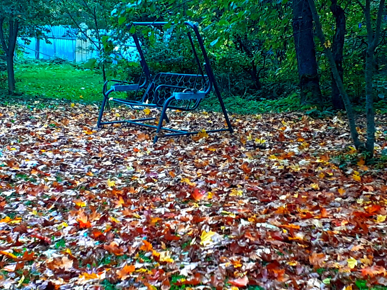 Photo #14122423