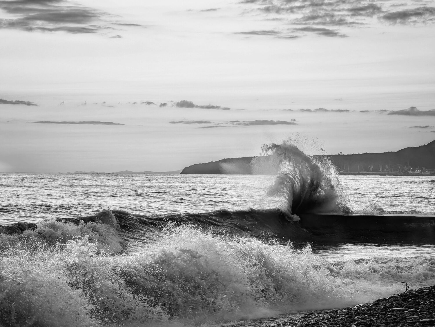 Photo #14122451