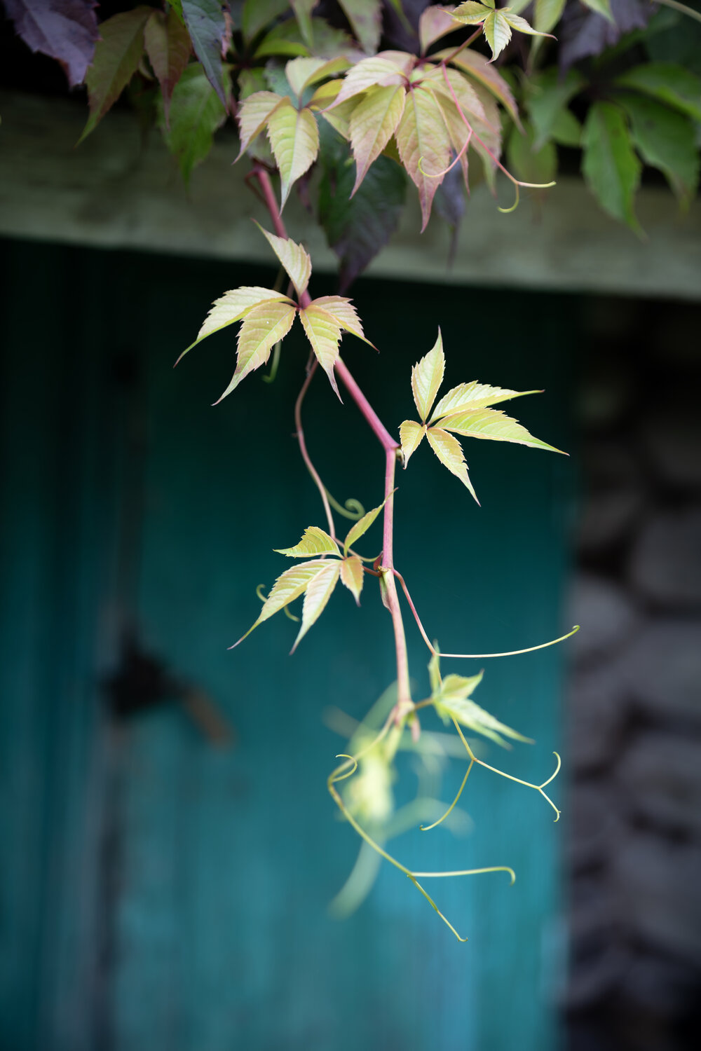 Photo #14122452