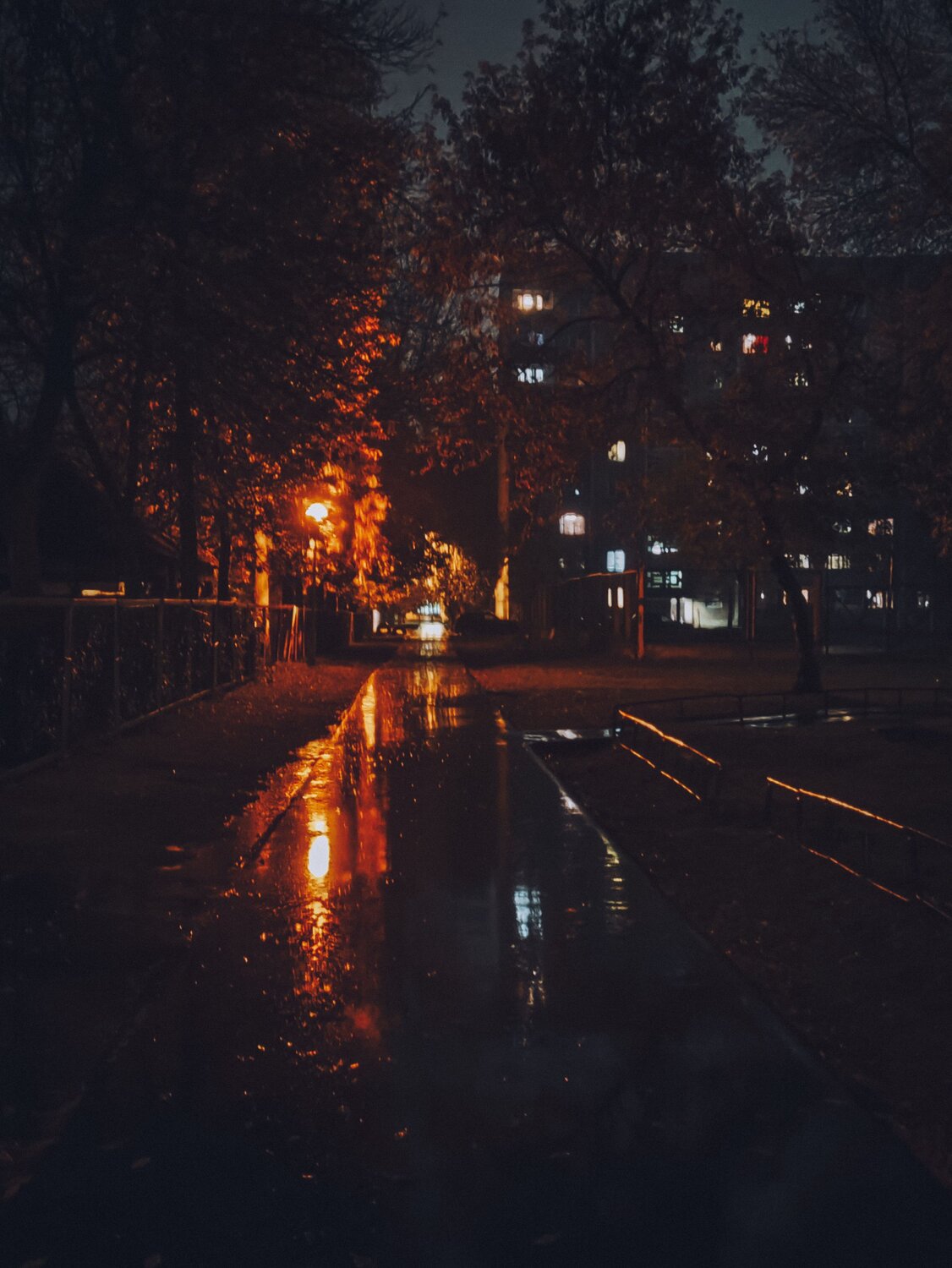 Photo #14122673