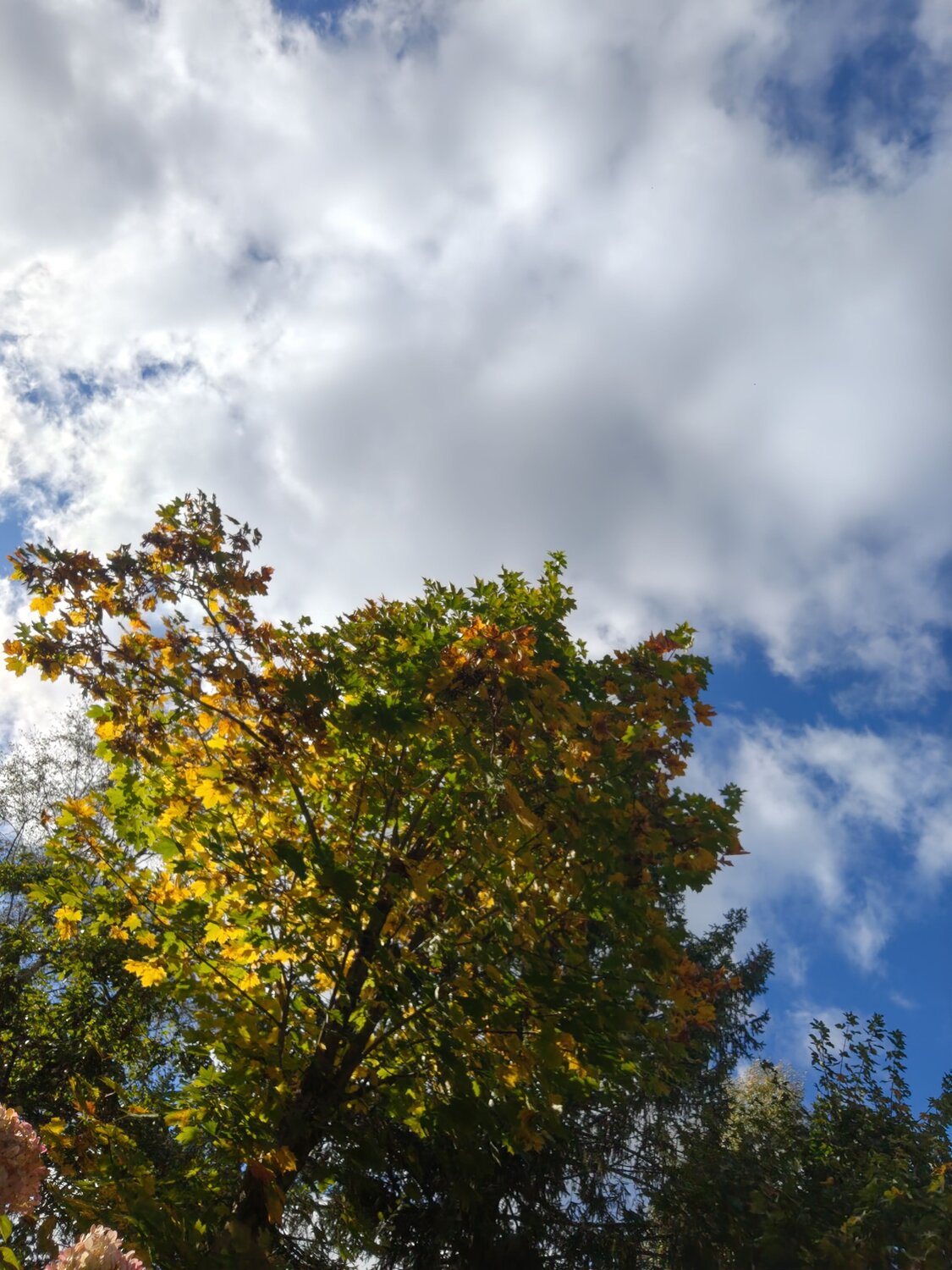 Photo #14122844