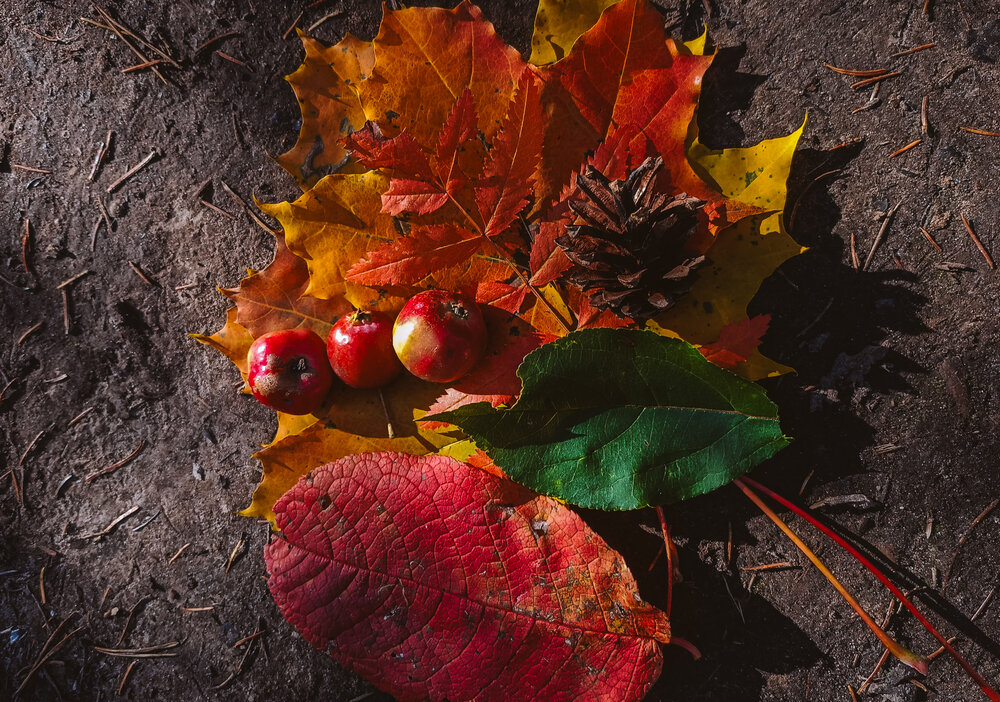 Photograph by Полина Шулятьева