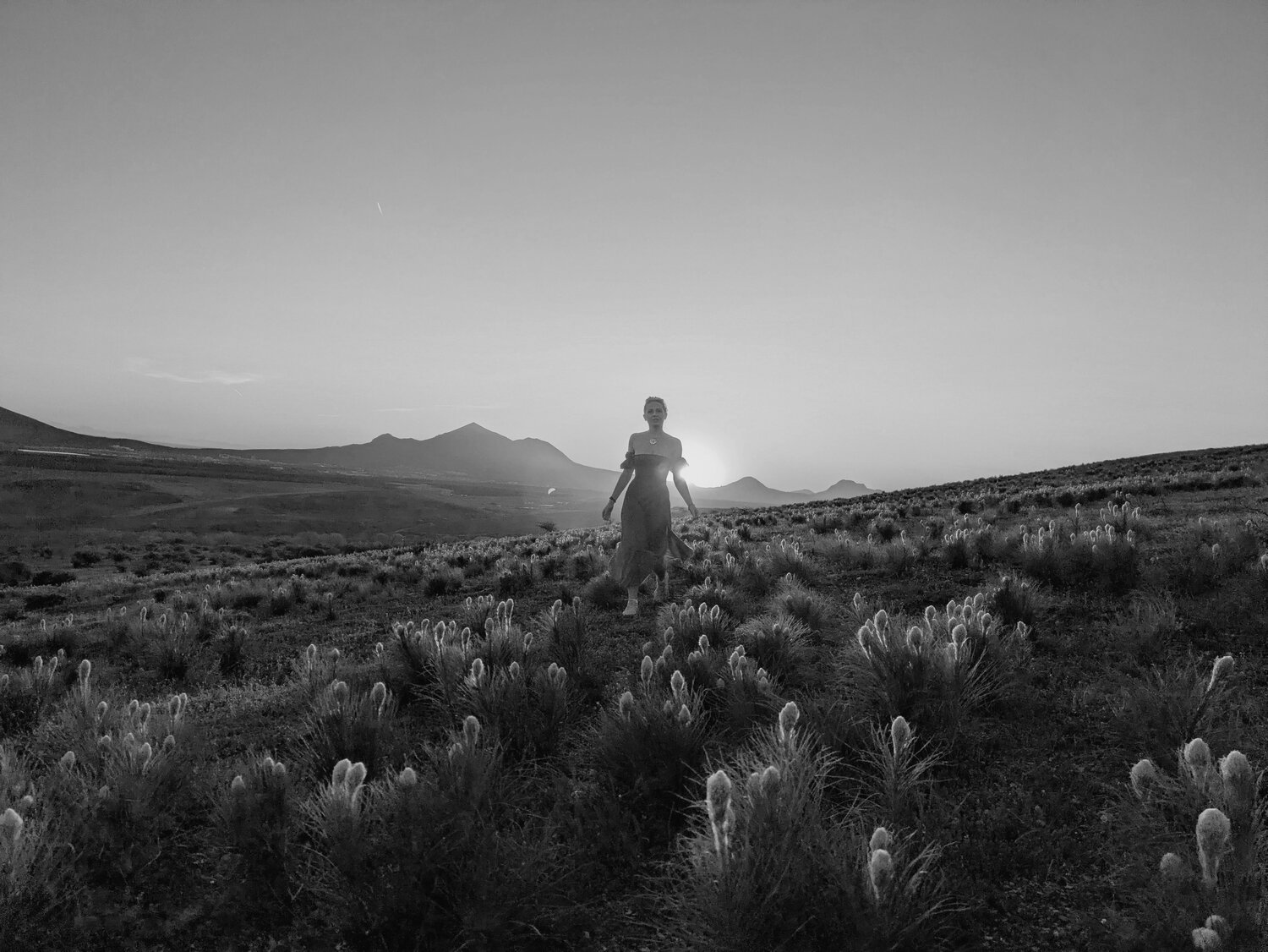 Photo #14123007
