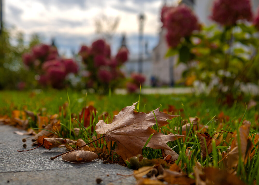 Photograph by Михаил Татанов