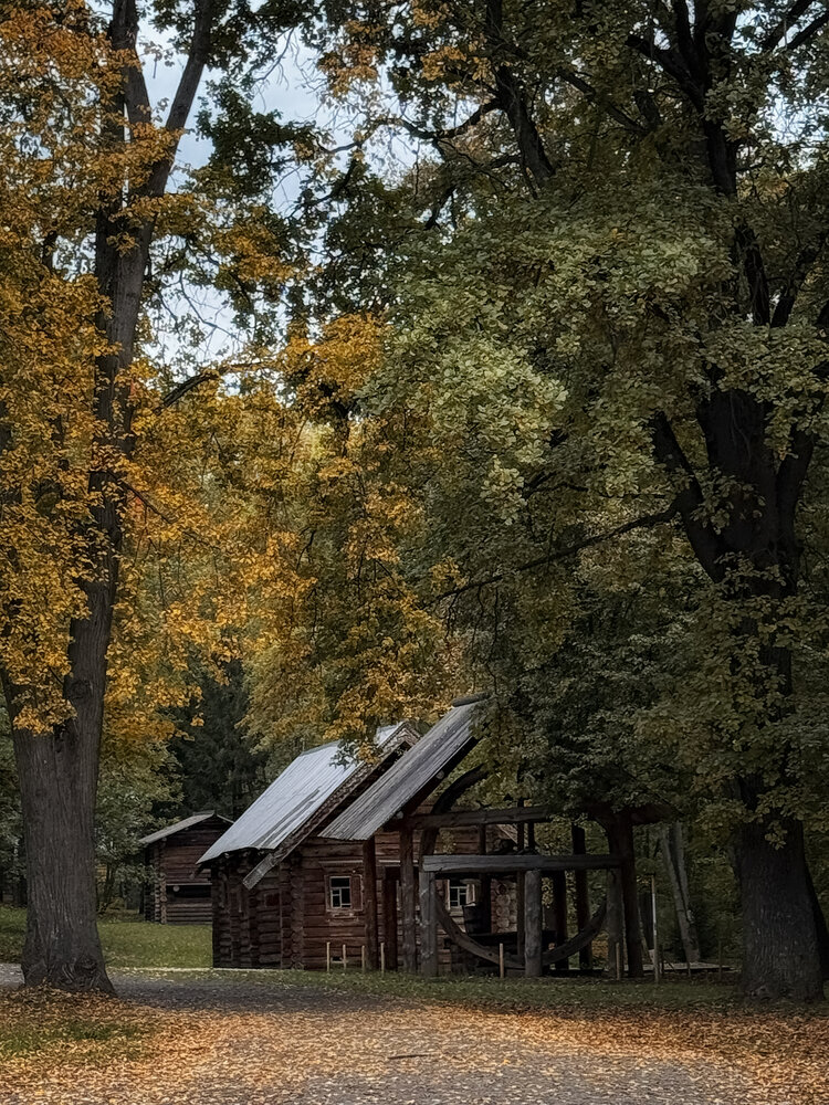 Photograph by Ольга Потачева