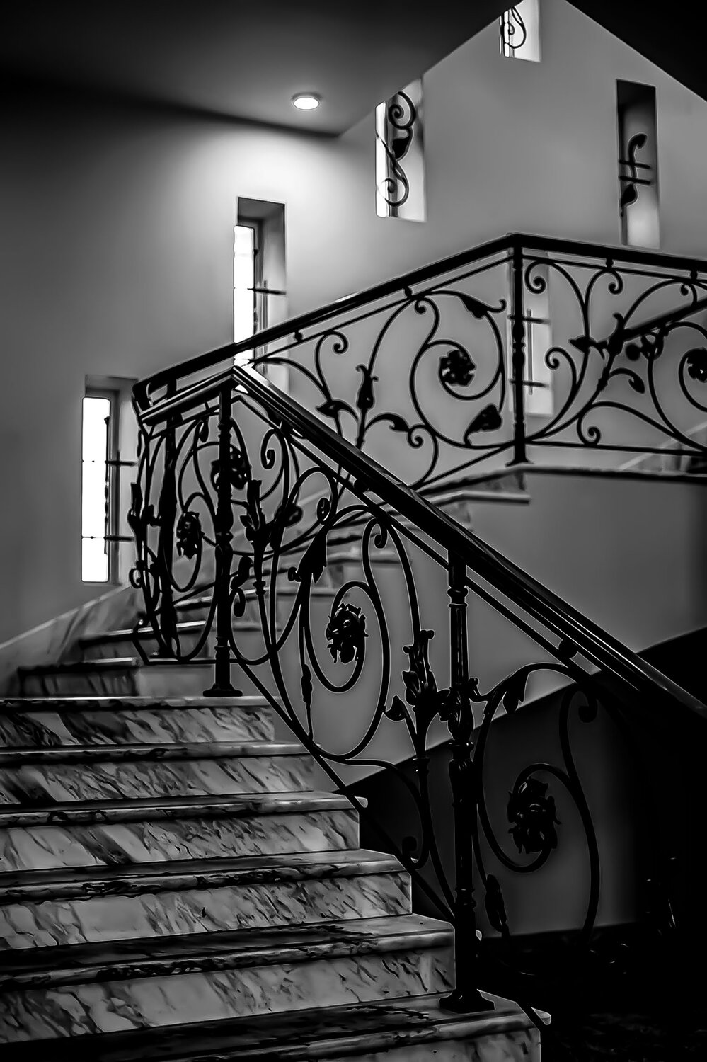 Photo #14123265