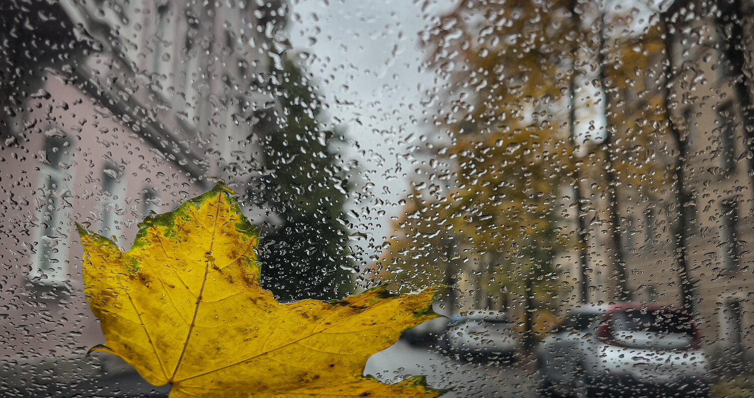 Photo #14123362