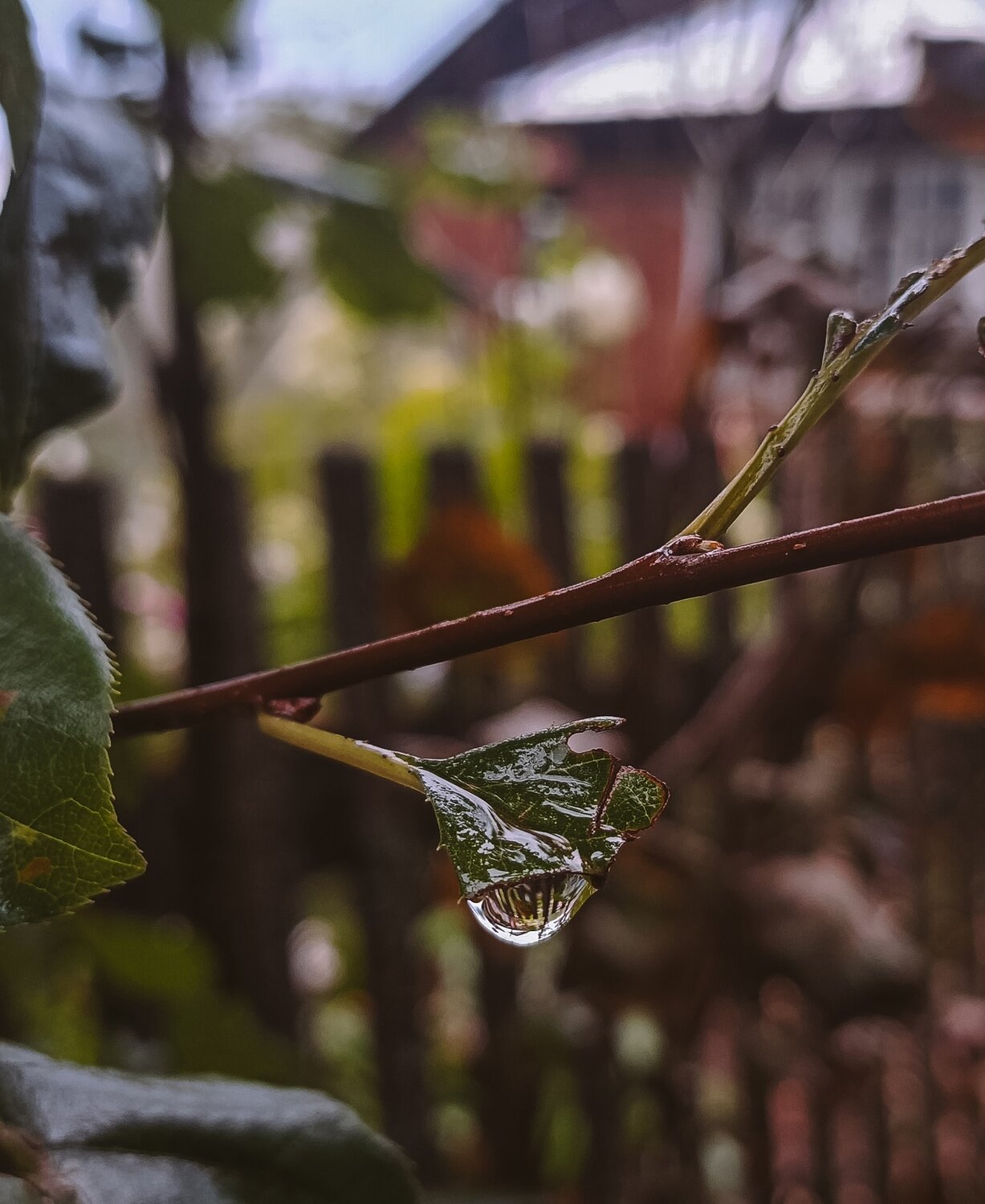 Photo #14123473