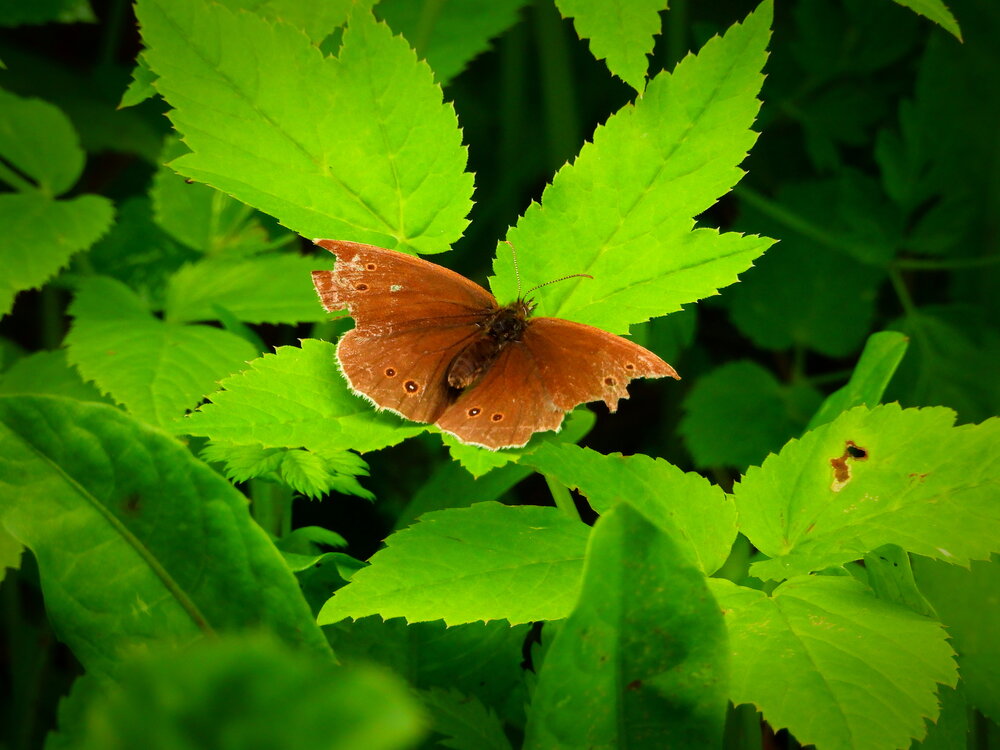 Photograph by Газеев Семён
