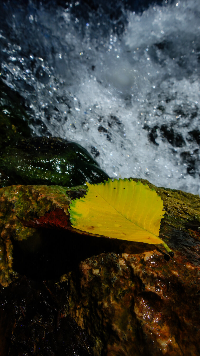 Photo #14123688
