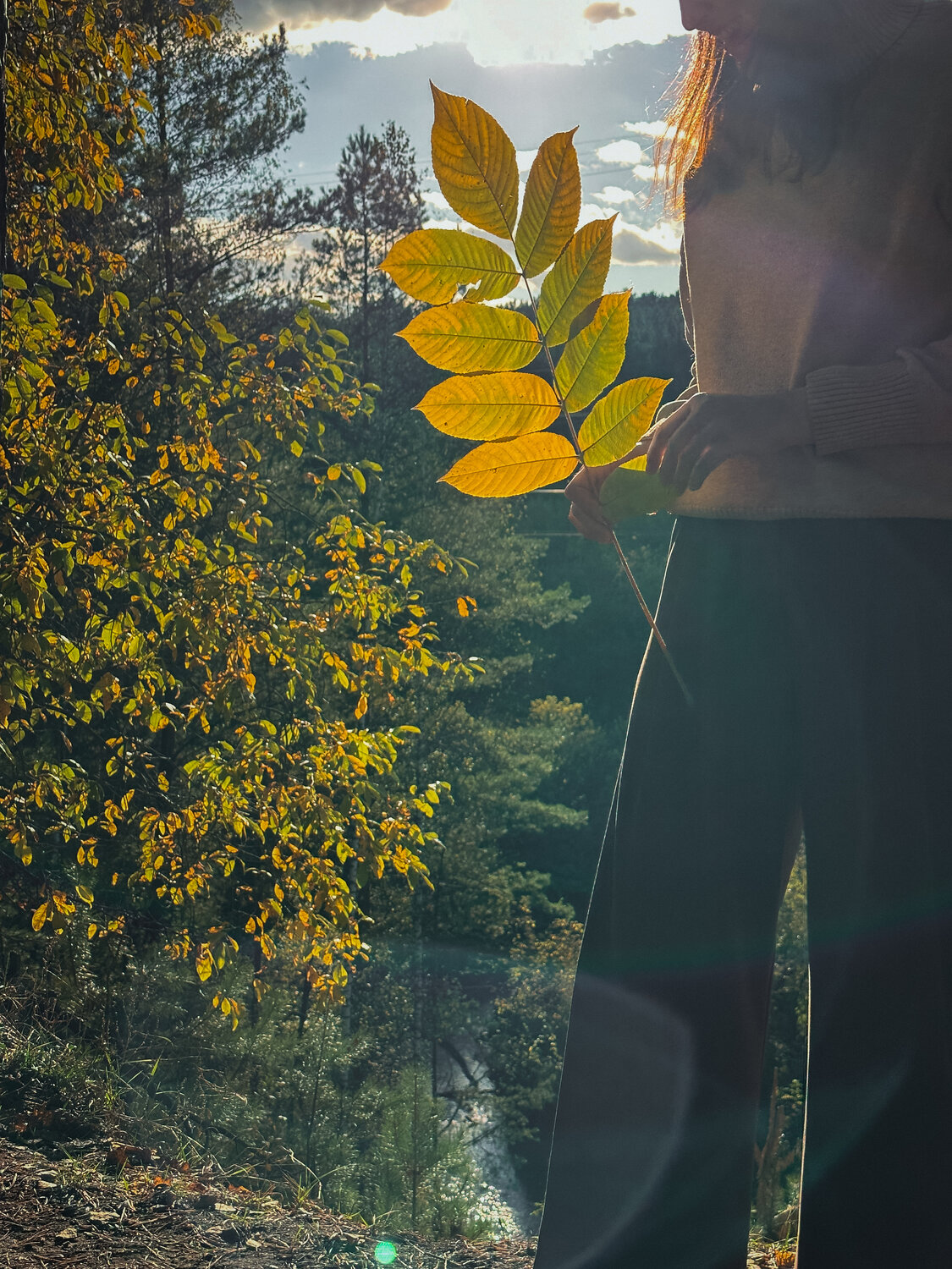 Photo #14123725