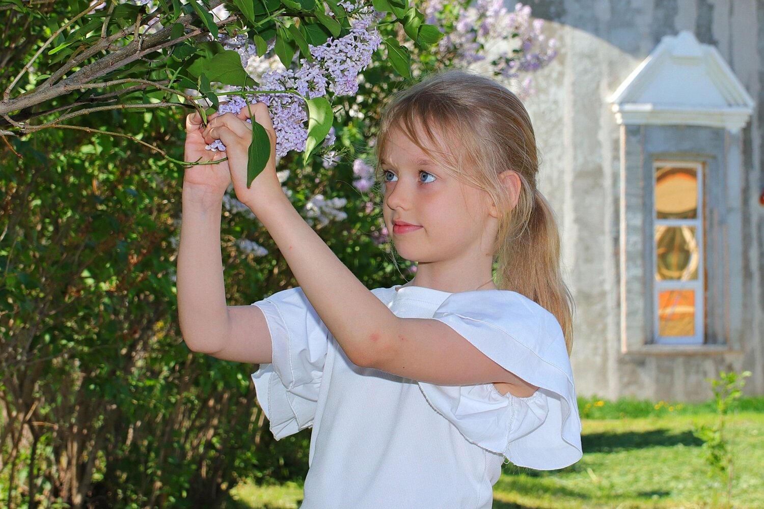 Аромат весенней нежности (The Scent of Spring)