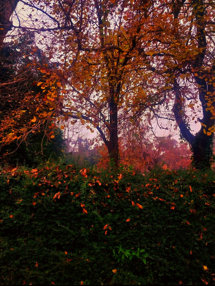 Photograph by Veronica Trentini