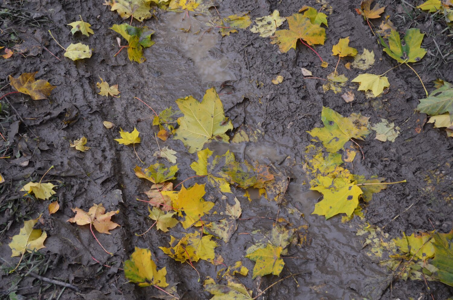 Photo #14123982
