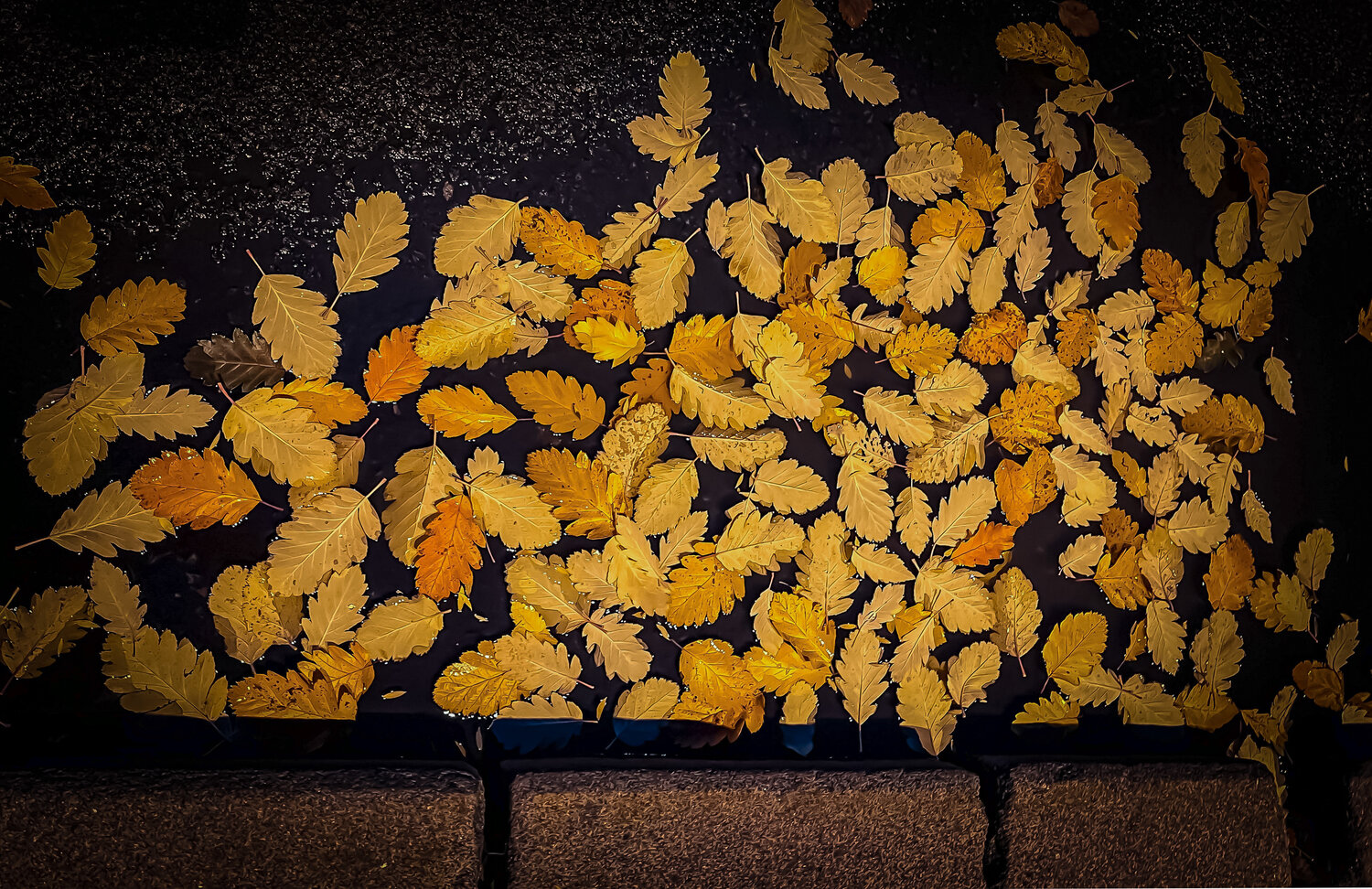 Photo #14123997