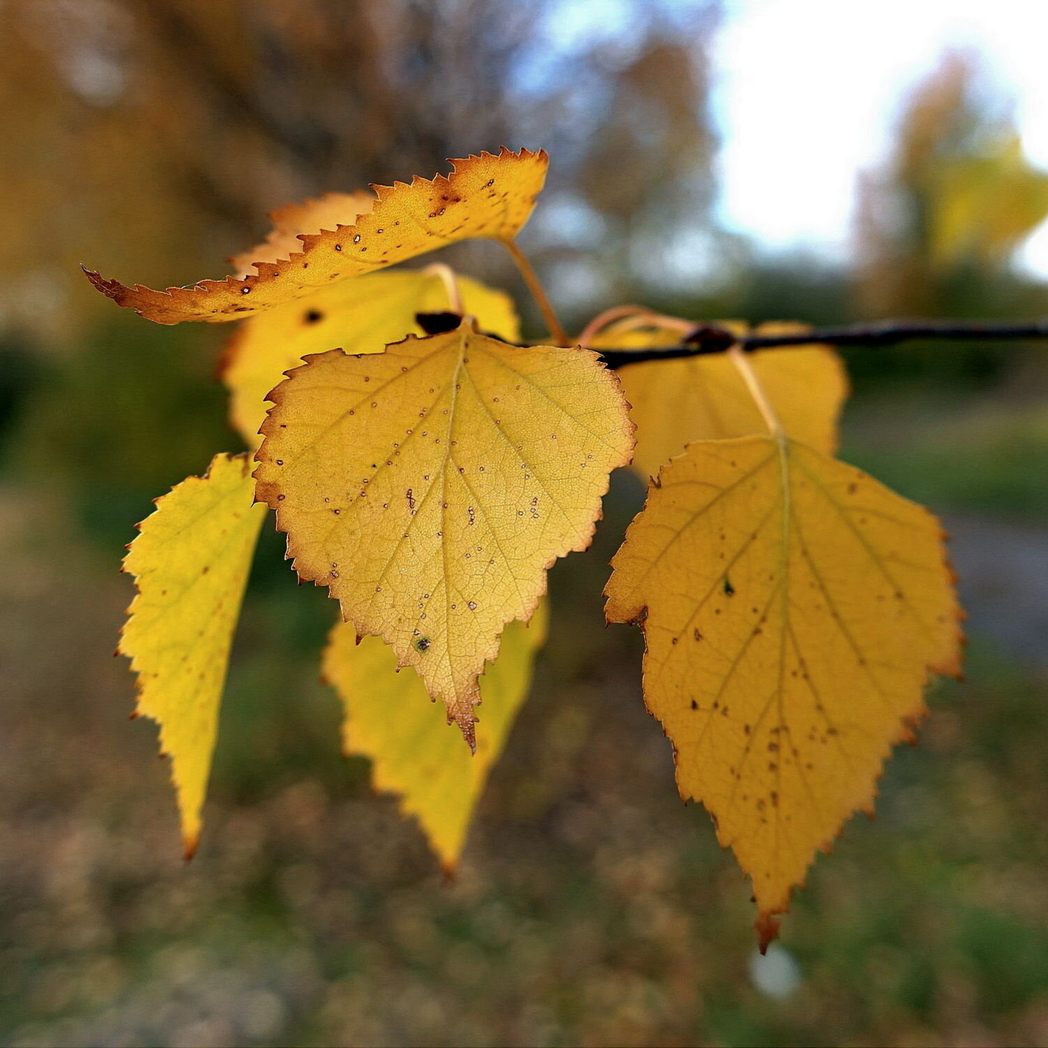 Photo #14124050