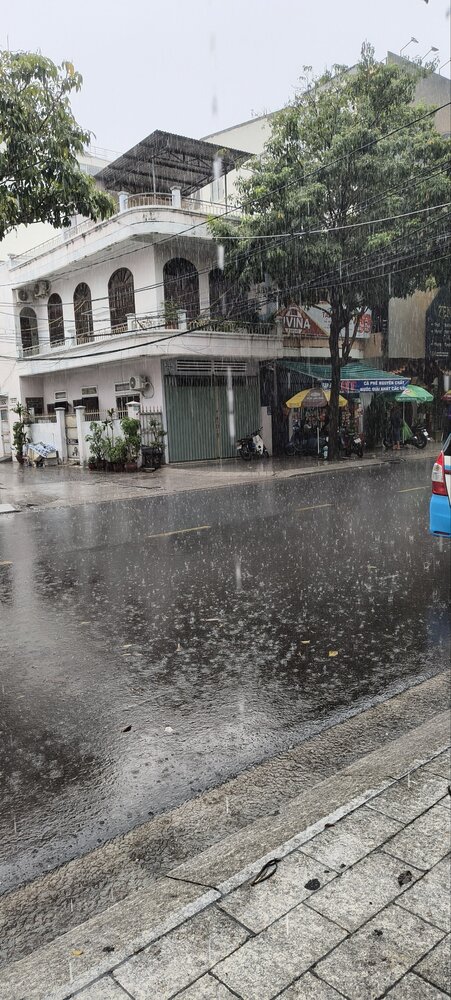 Viet Nam Rains