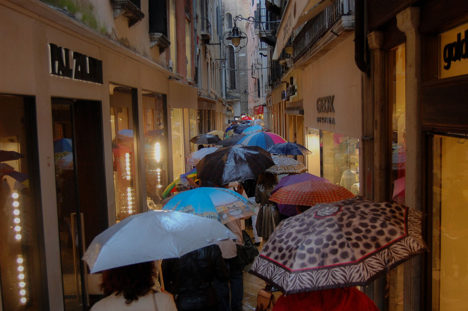 Photo #14124092