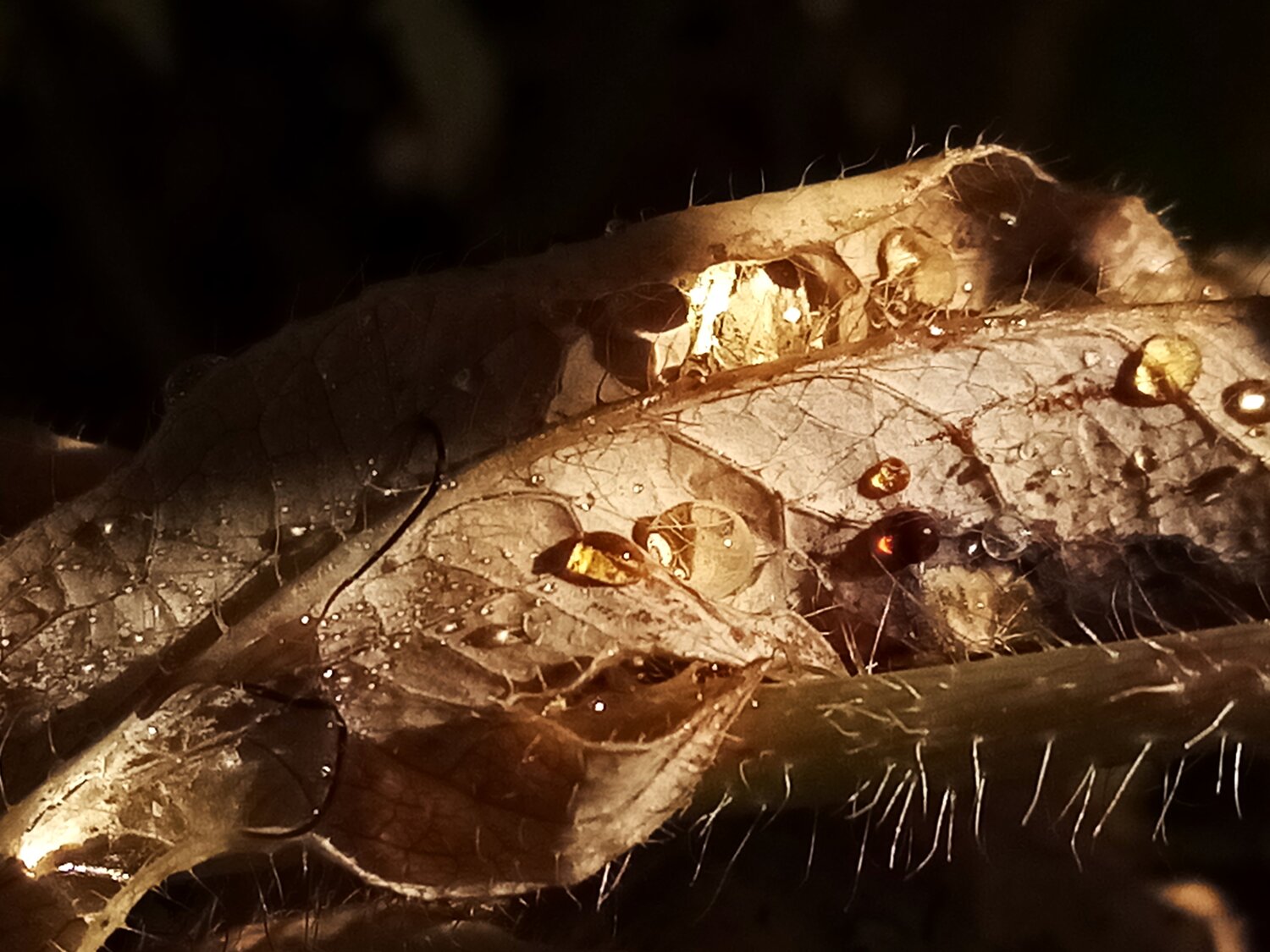 Photo #14124123